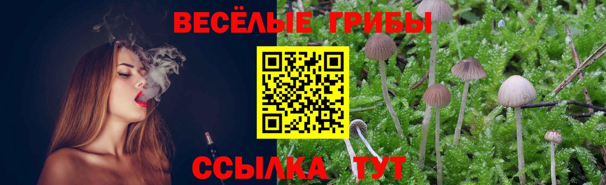 Псилоцибиновые грибы GOLDEN TEACHER Шахты